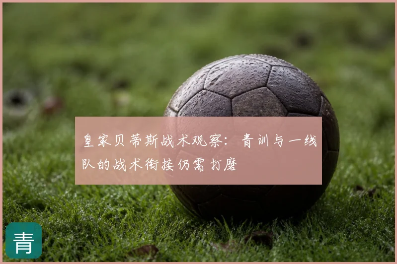 皇家贝蒂斯战术观察：青训与一线队的战术衔接仍需打磨